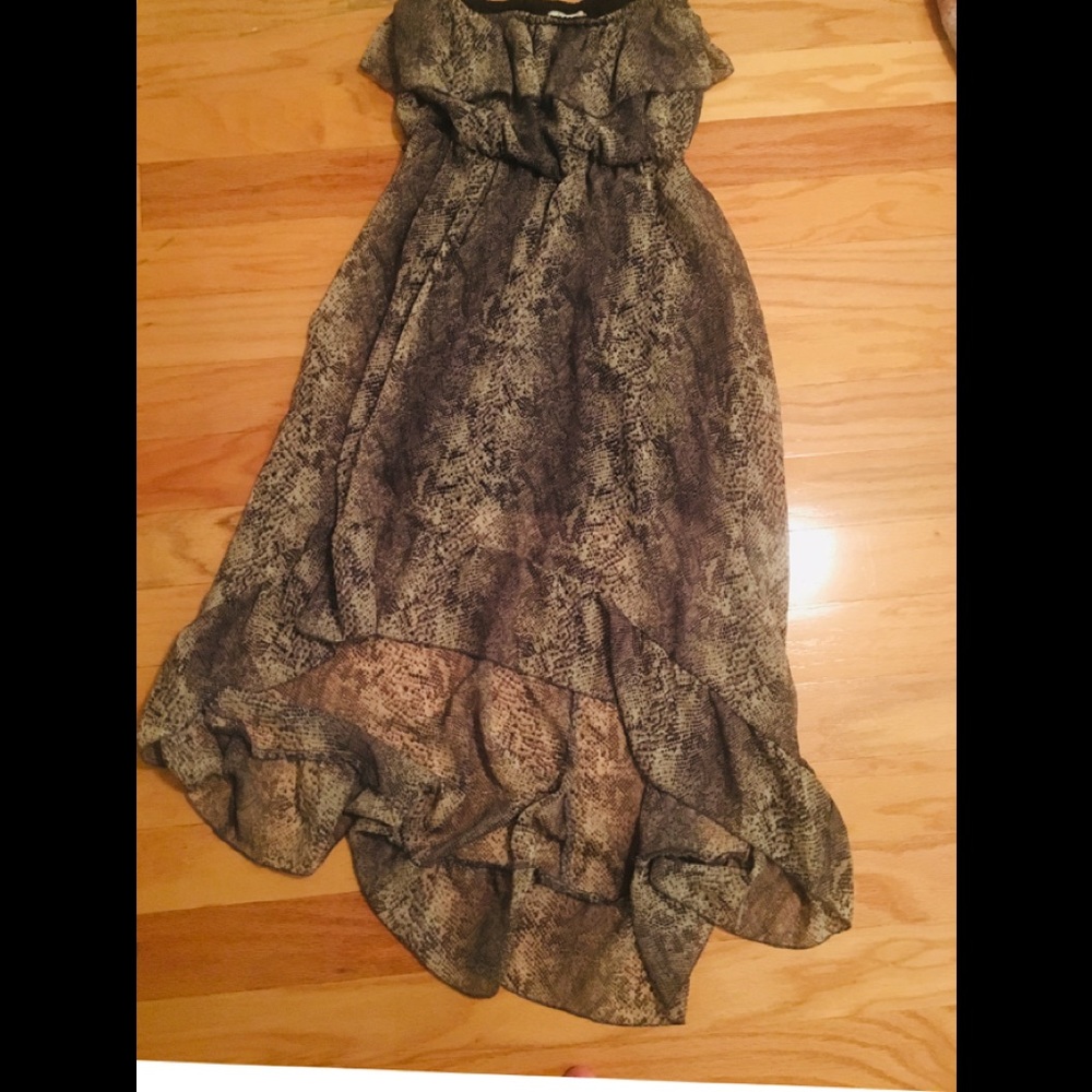 Strapless Animal Print Dress